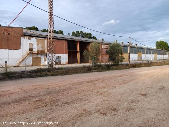 ALQUILER NAVE CON PATIO EN JORBA - BARCELONA