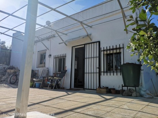 Villa en alquiler en Oliva (Valencia)