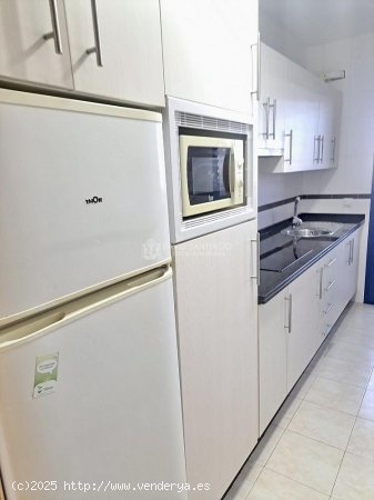 Apartamento en alquiler en Torre del Mar (Málaga)