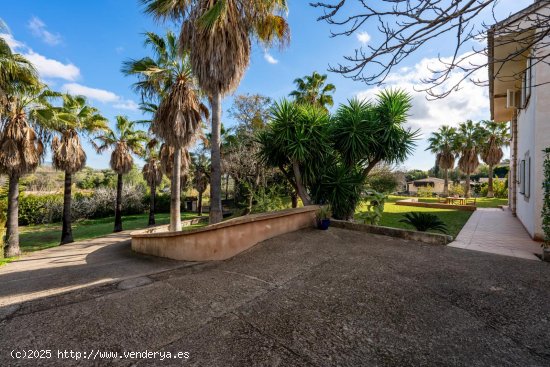 Finca en venta en Palma de Mallorca (Baleares)