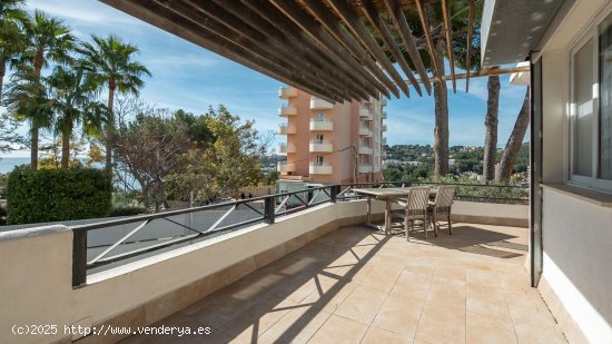 Piso en venta en Palma de Mallorca (Baleares)