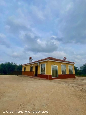  Chalet en alquiler en Alhaurín de la Torre (Málaga) 