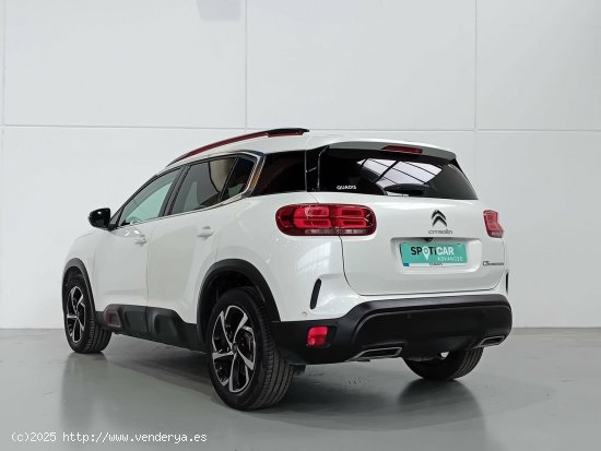 Citroën C5 Aircross  BlueHdi 96kW (130CV) S&S Feel - 