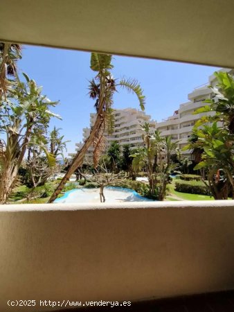  Estudio en alquiler en Benalmádena (Málaga) 