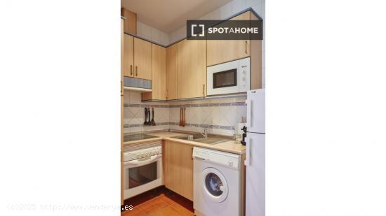 Apartamento entero de 1 habitaciones en Madrid - MADRID