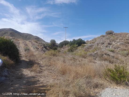 Finca Rustico - Finca rústica en venta en pasaje Valdelentisco. - MURCIA