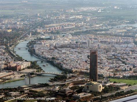 OFICINA DISPONIBILE EN LA CARTUJA - SEVILLA