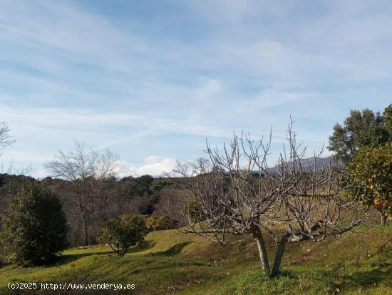 TERRERO RUSTICO SAN MIGUEL EN CANDELEDA - AVILA