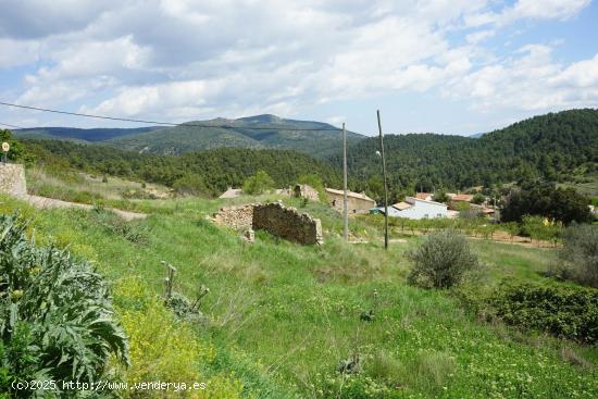 Se Vende en Requena - VALENCIA