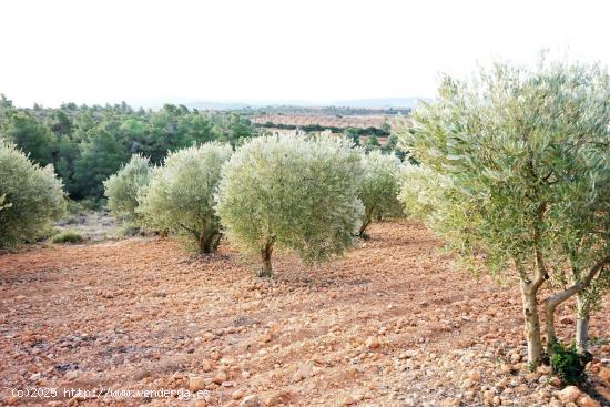 Se Vende en Requena - VALENCIA