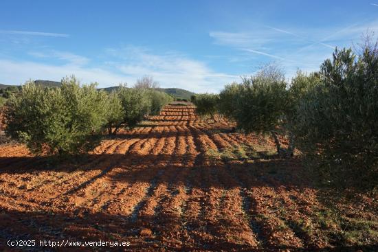 Se Vende en Requena - VALENCIA