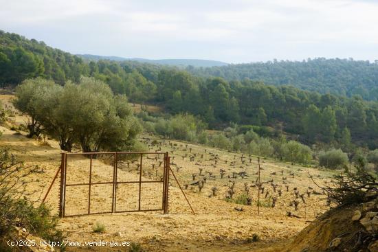 Se Vende en Requena - VALENCIA