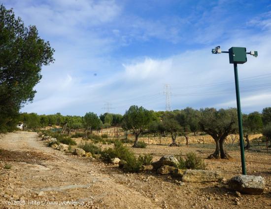 Se Vende en Requena - VALENCIA