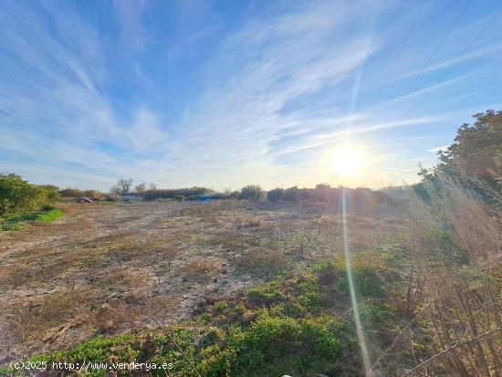 TERRENO RUSTICO SIN CULTIVAR - VALENCIA