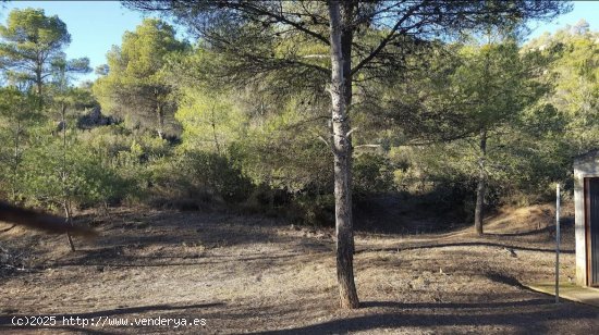 Suelo rústico en venta  en Flix - Tarragona