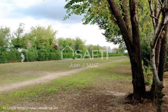 Finca con chalet independiente en venta en Fuente el Saz