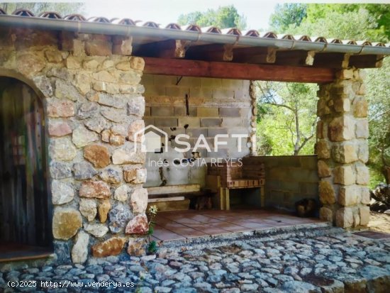 Encantador terreno rústico en Sóller con vistas panorámicas al mar y la montaña