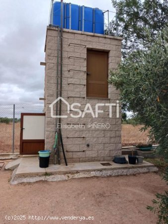 Disfruta de ésta maravilla ! CAMPO CON OLIVOS, CASITA Y CHARCA.