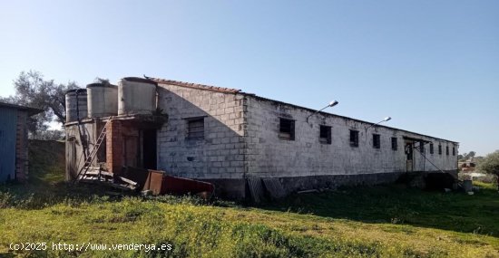 Terreno rústico con una superficie de 6.385 m2 en Lagartera.