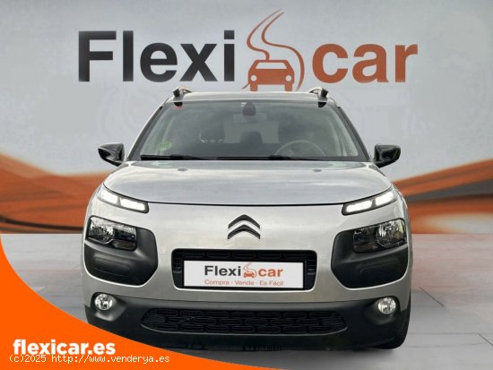 Citroën C4 Cactus BlueHDi 100 Shine - Vitoria-Gasteiz