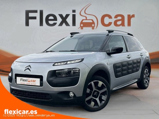 Citroën C4 Cactus BlueHDi 100 Shine - Vitoria-Gasteiz