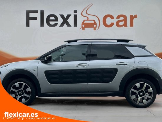 Citroën C4 Cactus BlueHDi 100 Shine - Vitoria-Gasteiz