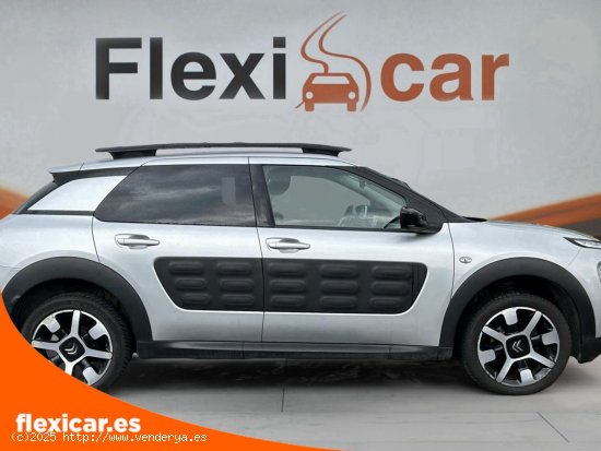 Citroën C4 Cactus BlueHDi 100 Shine - Vitoria-Gasteiz