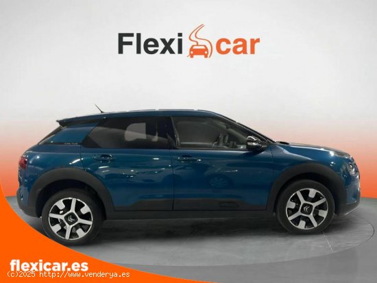 Citroën C4 Cactus PureTech 96kW (130CV) S&S Shine - Rivas-Vaciamadrid