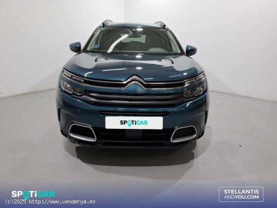 Citroën C5 Aircross  BlueHdi 96kW (130CV) S&S Feel - Sant Boi de Llobregat