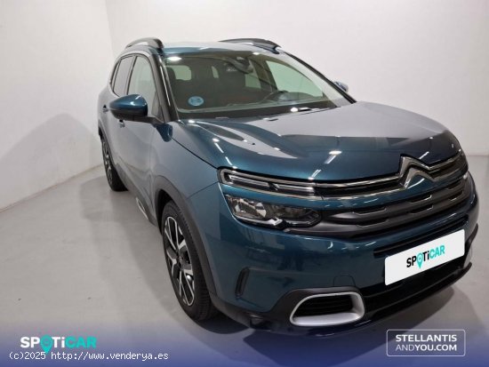 Citroën C5 Aircross  BlueHdi 96kW (130CV) S&S Feel - Sant Boi de Llobregat