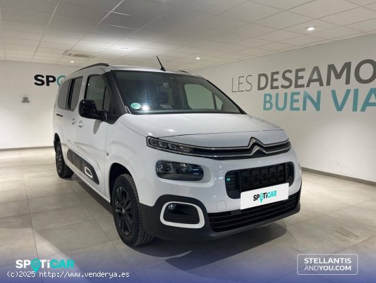 Citroën Berlingo  Talla XL BlueHDi 130 S&S Max - Almería