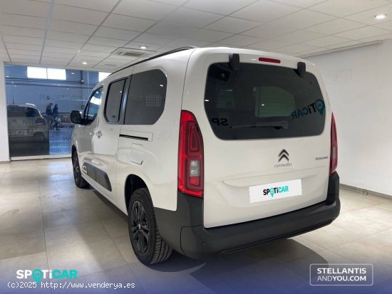 Citroën Berlingo  Talla XL BlueHDi 130 S&S Max - Almería