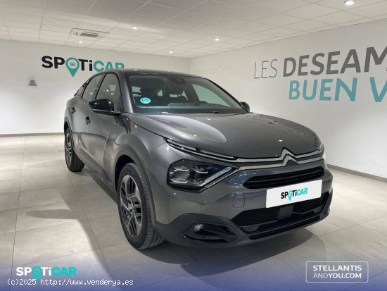 Citroën C4  BlueHDi 130 S&S EAT8 Plus - Almería