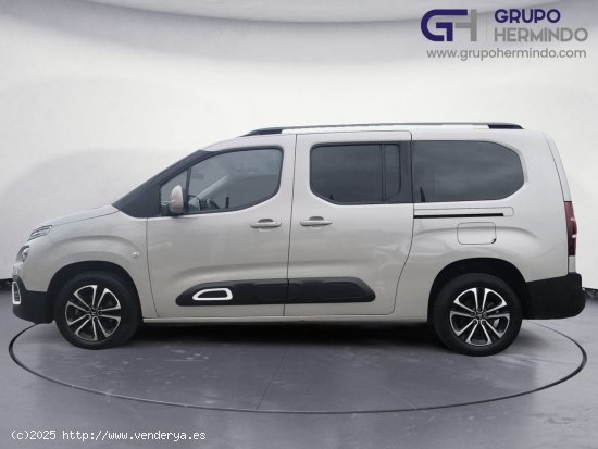 Citroën Berlingo TALLA XL BLUE HDI 130 CV EAT8 FEEL - Ponteareas