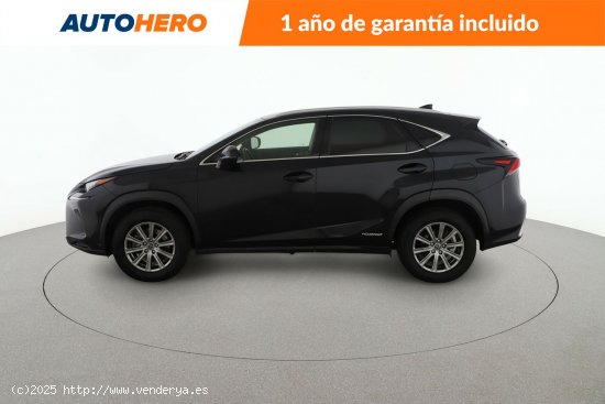 Lexus NX 300h Business - 