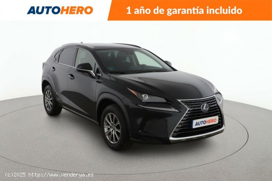 Lexus NX 300h Business - 