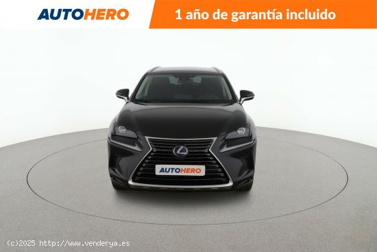 Lexus NX 300h Business - 