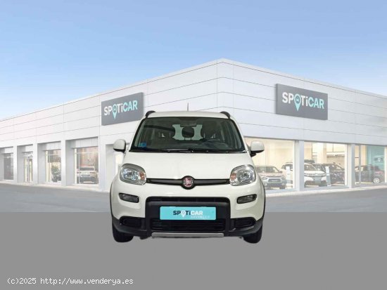 Fiat Panda Panda Hybrid 1.0 Gse 51kw (70CV) - Jaén