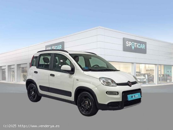 Fiat Panda Panda Hybrid 1.0 Gse 51kw (70CV) - Jaén