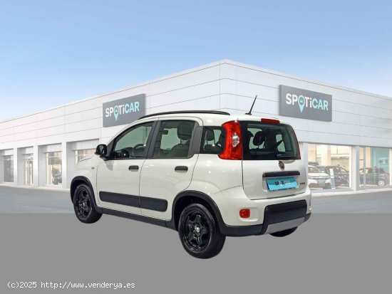 Fiat Panda Panda Hybrid 1.0 Gse 51kw (70CV) - Jaén