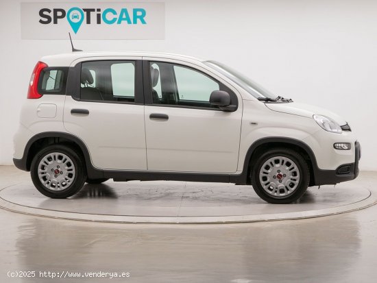 Fiat Panda 1.0 MHEV 70 5P - Barcelona