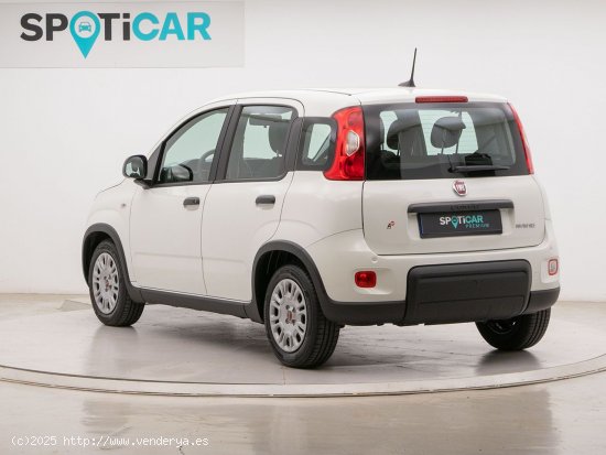 Fiat Panda 1.0 MHEV 70 5P - Barcelona