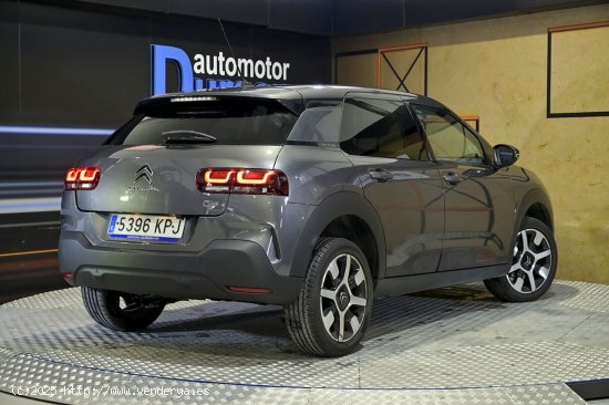 Citroën C4 Cactus   PureTech 96kW 130CV SS Shine - 