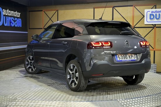 Citroën C4 Cactus   PureTech 96kW 130CV SS Shine - 