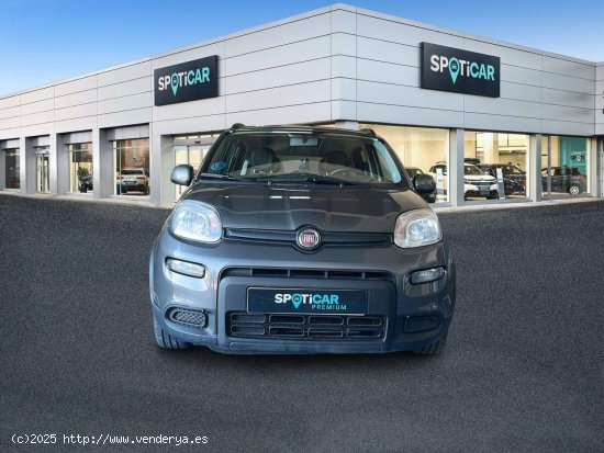 Fiat Panda   Hybrid 1.0 Gse 51kw (70CV) City Life - 