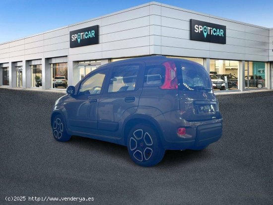 Fiat Panda   Hybrid 1.0 Gse 51kw (70CV) City Life - 