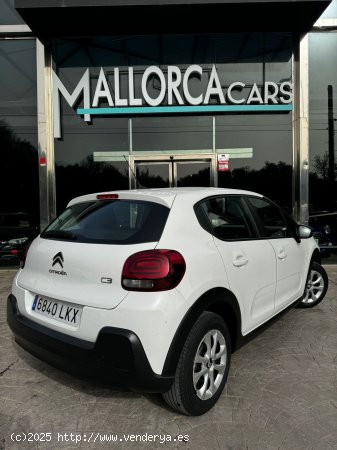 Citroën C3 1.5 BlueHdi 100Cv - Palma