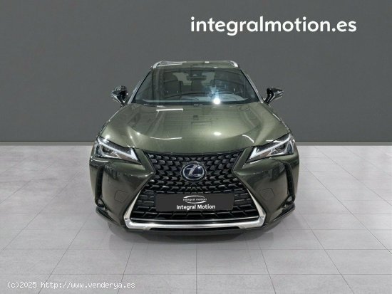 Lexus UX 2.0 250h Business - 