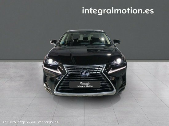 Lexus NX 2.5 300h Business Navigation 2WD - 