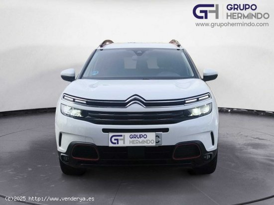 Citroën C5 Aircross FEEL BLUE HDI 130 CV - Ponteareas